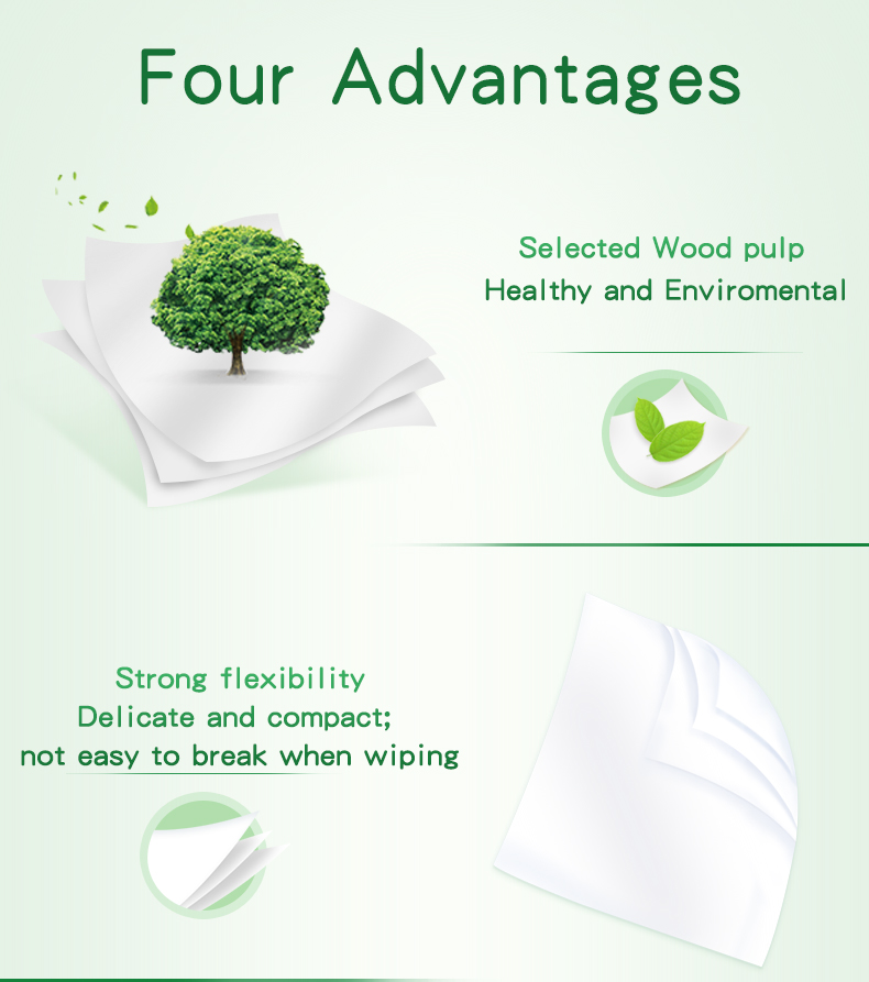 Eco Alternative To Toilet Paper
